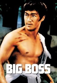 دانلود فیلم The Big Boss 1971