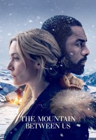 دانلود فیلم The Mountain Between Us 2017