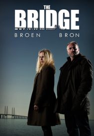 دانلود سریال The Bridge 2011–2018