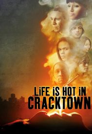 دانلود فیلم Life Is Hot in Cracktown 2009