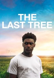 دانلود فیلم The Last Tree 2019