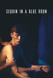 دانلود فیلم Sequin in a Blue Room 2019