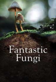 دانلود فیلم Fantastic Fungi 2019