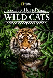 دانلود فیلم Thailand’s Wild Cats 2021