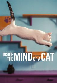 دانلود فیلم Inside the Mind of a Cat 2022