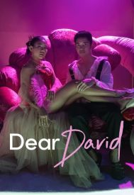 دانلود فیلم Dear David 2023