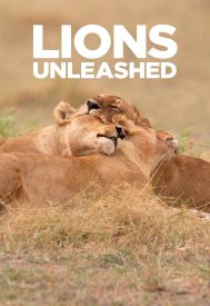 دانلود فیلم Lions Unleashed 2017