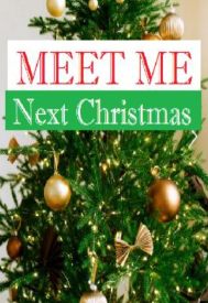 دانلود فیلم Meet Me Next Christmas 2024