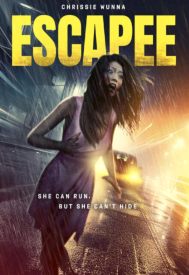 دانلود فیلم The Escapee 3: The Final Escape 2024