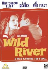 دانلود فیلم Wild River 1960