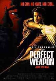 دانلود فیلم The Perfect Weapon 1991