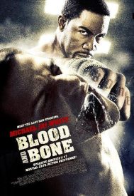 دانلود فیلم Blood and Bone 2009