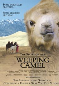 دانلود فیلم The Story of the Weeping Camel 2003