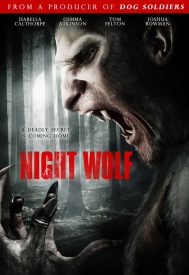 دانلود فیلم Night Wolf 2010