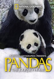 دانلود فیلم Pandas: The Journey Home 2014