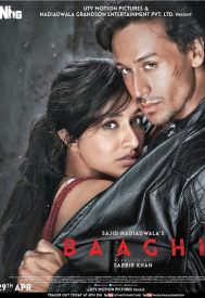 دانلود فیلم Baaghi: A Rebel For Love 2016