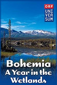 دانلود فیلم Bohemia: A Year in the Wetlands 2011