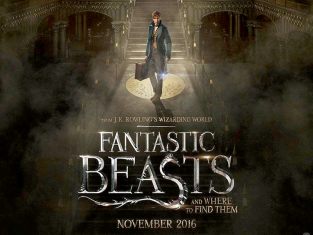 Fantastic Beasts and Where to Find Them Slide