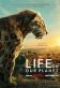 Life on Our Planet Poster