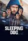 Sleeping Dog Poster